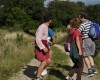 une petite bourrée sur le chemin